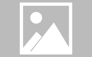 南城网页设计师周记（网页设计周记26篇300字）